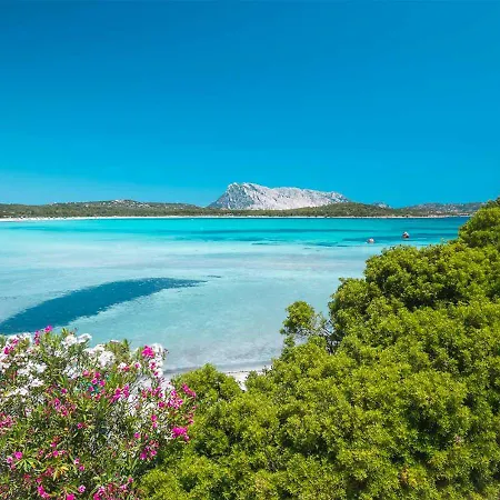 Casa Elisa Διαμέρισμα